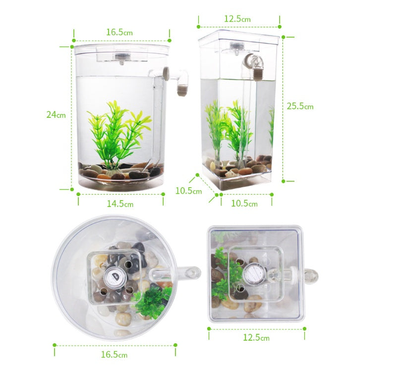 AquaCharm Mini Goldfish Tank – Creative Plastic Aquarium for Small Spaces