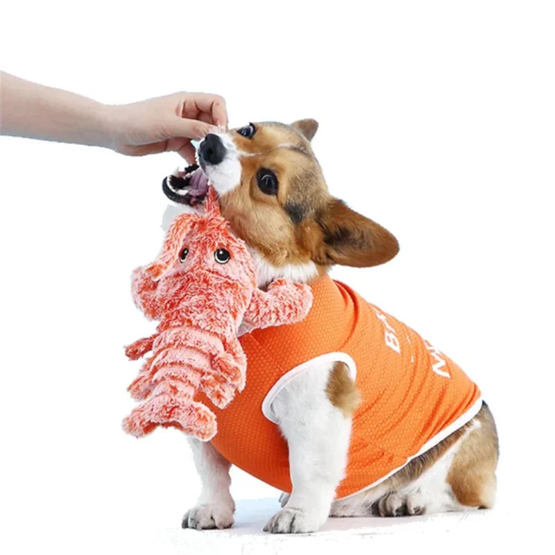 Durable Interactive Lobster Dog Toy for Aggressive Chewers – Engaging Chew Toy for Active Medium to Large Dogs 4