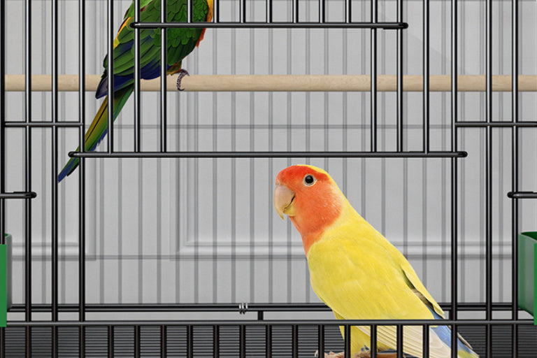 AeroNest Double-Layer Bird Cage – Modern & Fashionable Home Aviary