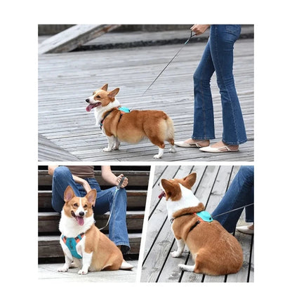 Breathable Dog Harness with Retractable Leash – Adjustable Anti-Burst Design for Comfort and Control, Nylon Material 3