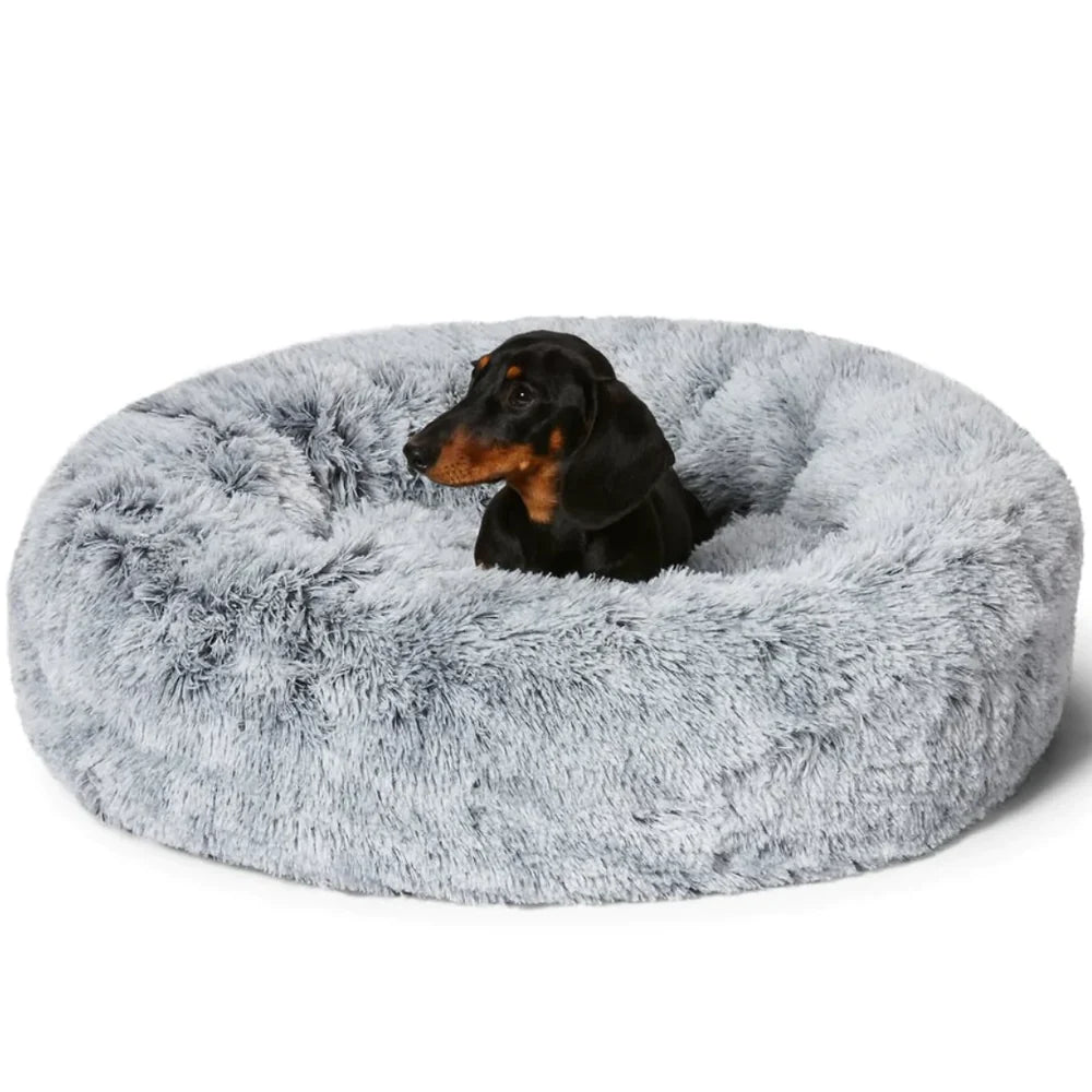 Calming Orthopedic Dog Bed with Memory Foam, Chew Proof & Elevated Design – Waterproof Pet Bed for Large Dogs 1