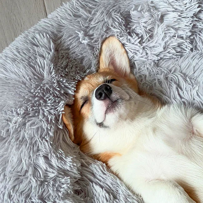 Calming Orthopedic Dog Bed with Memory Foam, Chew Proof & Elevated Design – Waterproof Pet Bed for Large Dogs 2