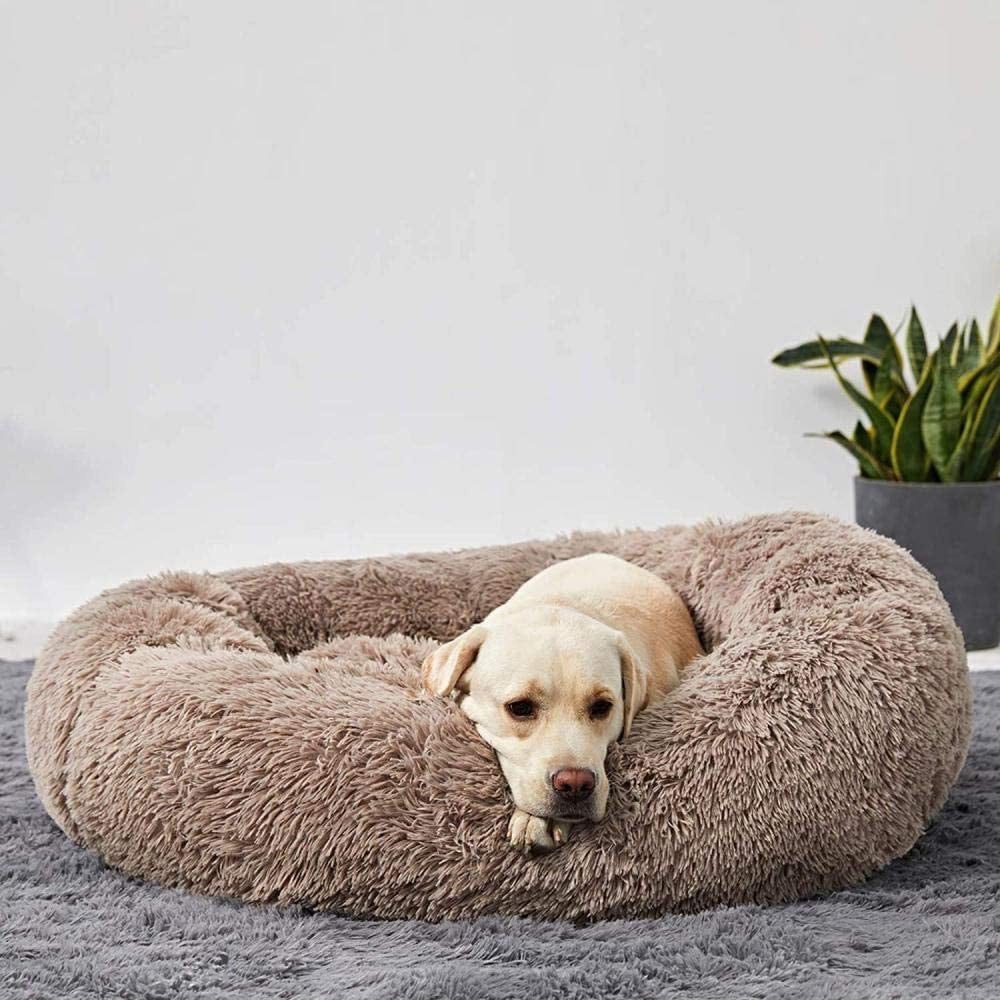 Calming Orthopedic Dog Bed with Memory Foam, Chew Proof & Elevated Design – Waterproof Pet Bed for Large Dogs 8
