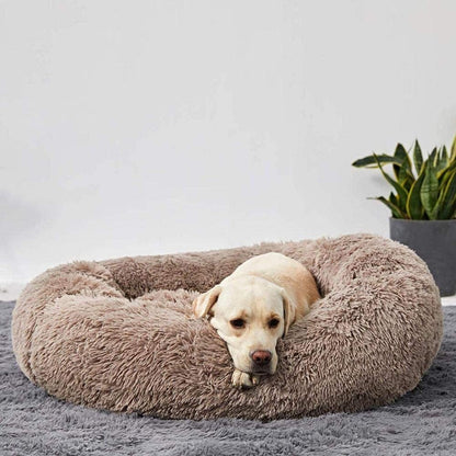 Calming Orthopedic Dog Bed with Memory Foam, Elevated Design, Chew-Proof and Waterproof Fabric – Durable Pet Bed for Large Dogs 8