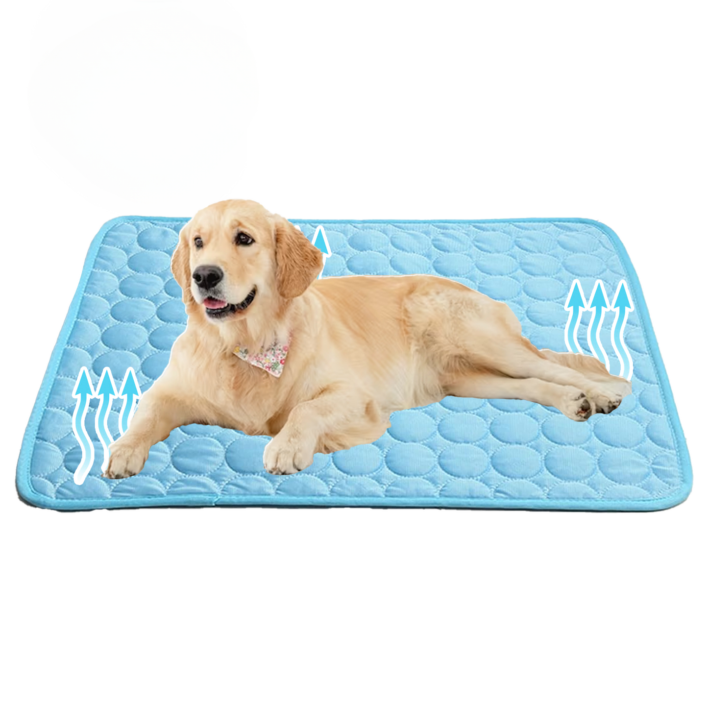 Cooling Dog Mat with Pressure-Activated Gel – Lightweight Portable Pet Cooling Bed for Dogs 1