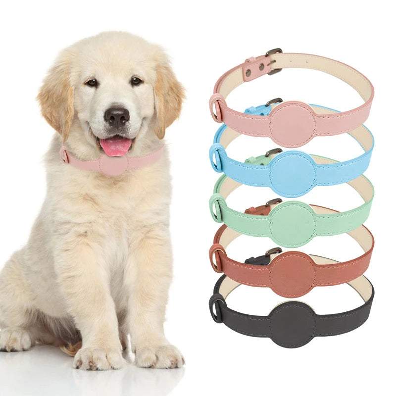 Durable Dog Collar with Integrated Airtag Holder – Weather-Resistant Tracking Solution 0