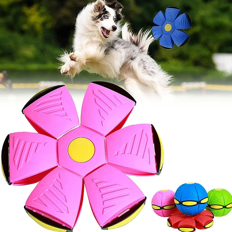 Durable Flying Saucer Disc Ball Dog Toy – Interactive Fetch Toy for All Breeds, High-Flyer Design in Vibrant Colors 6
