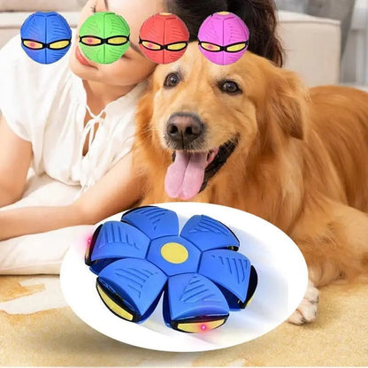 Durable Flying Saucer Disc Ball Dog Toy for Aggressive Chewers – Interactive Fetch Toy in Vibrant Colors 2