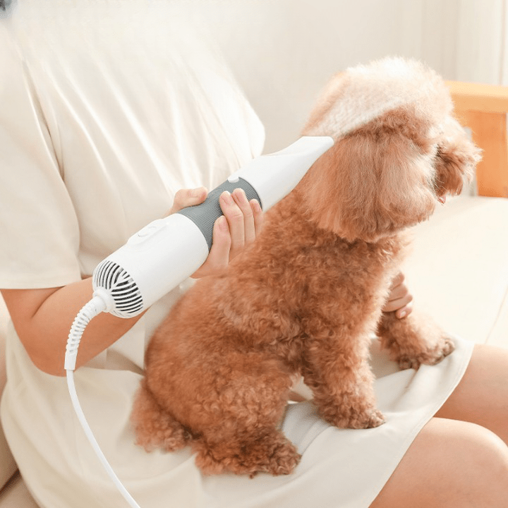 Ergonomic Dog Hair Dryer with Adjustable Heat and Speed – Lightweight Compact Pet Grooming Blow Dryer with Brush Attachment 2