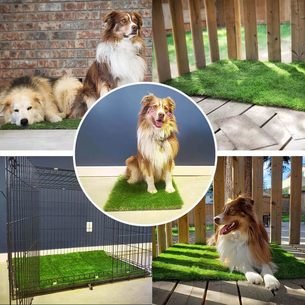 Indoor/Outdoor Dog Grass Mat with Leak Protection – Odor-Free, Easy-Clean PVC Artificial Grass for Pets, Various Sizes Available 4