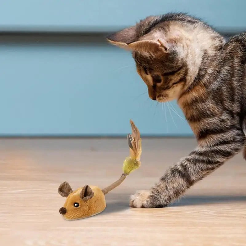 Interactive Cat Toy Mimicking Mouse Movements – Engaging and Durable Interactive Cat Toys for Active Playtime 0