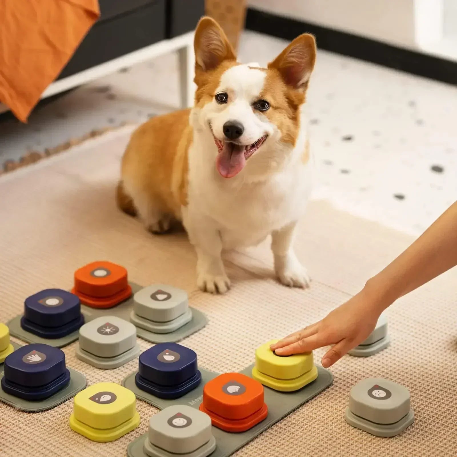 Interactive Dog Communication Button Set for Talking Dog Buttons – Enhance Pet Interaction and Expression Skills 1