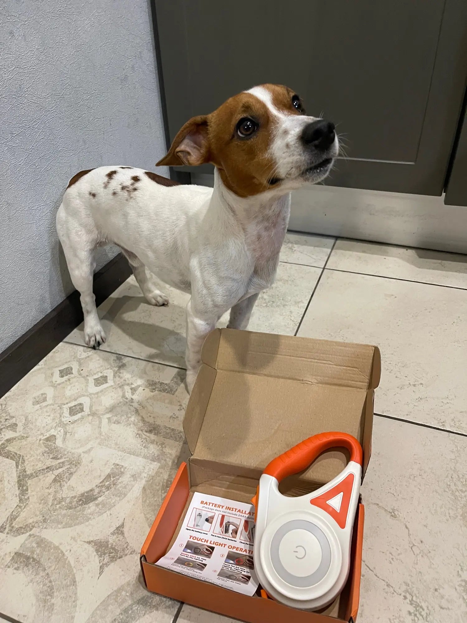 LED Safety Dog Leash with 5m Range – Enhanced Visibility for Night Walks, Durable Plastic and Nylon Construction 5