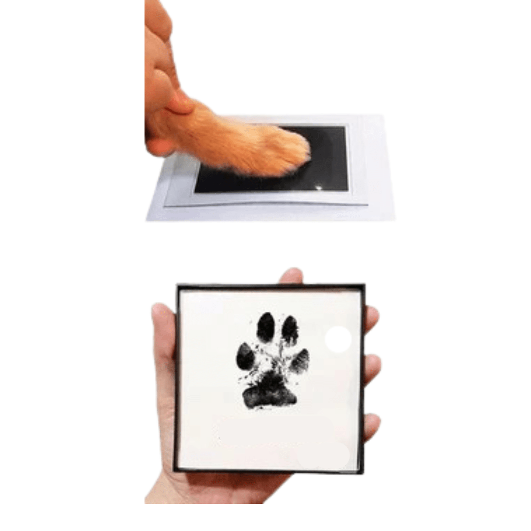 Pet Paw Print Ink Set – Non-Toxic Clean-Touch Ink Pad for Dogs and Cat ...