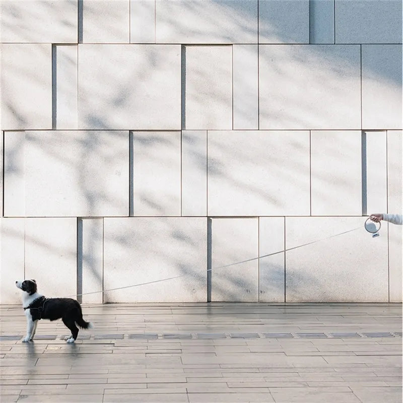 Retractable Dog Leash with Built-in Flashlight and Non-Slip Handle – 300 cm Durable Nylon Leash for Maximum Control 2