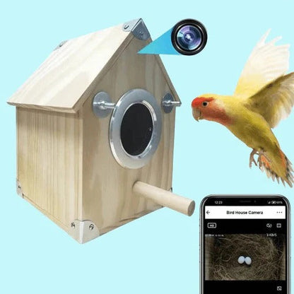 Smart Bird Feeder Box with Integrated Camera for Real-Time Nesting Obs ...