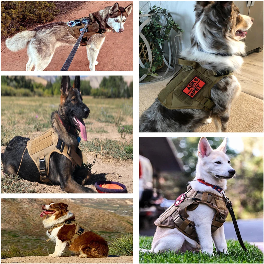Tactical Dog Harness and Leash Set for Large Breeds – Adjustable Military-Style Dog Gear 5