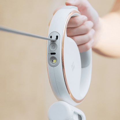 USB Rechargeable Dog Leash with Built-in Flashlight and Poop Bag Holder – 3 Meters Long 3