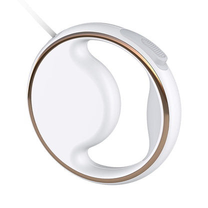 USB Rechargeable Dog Leash with Built-in Flashlight and Poop Bag Holder – 3 Meters Long 5