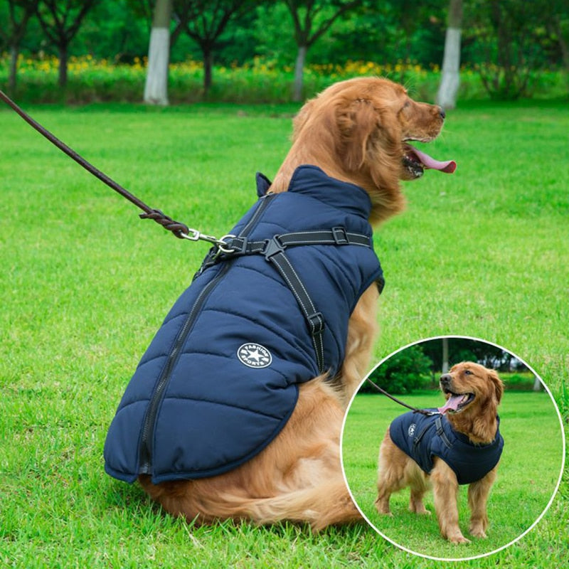 Waterproof Insulated Dog Coat for Cold Weather – Comfortable and Stylish Pet Jacket 1