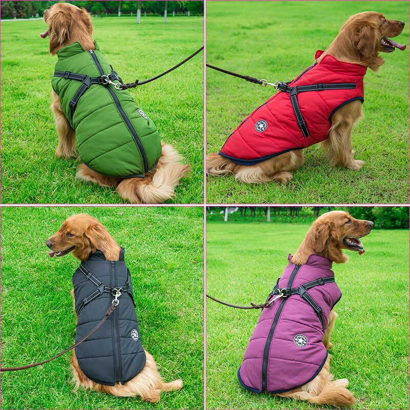 Waterproof Insulated Dog Coat for Cold Weather – Comfortable and Stylish Pet Jacket 3