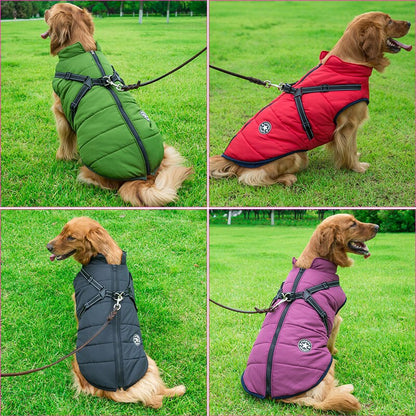 Waterproof Insulated Dog Coat for Cold Weather – Comfortable and Stylish Pet Jacket 3