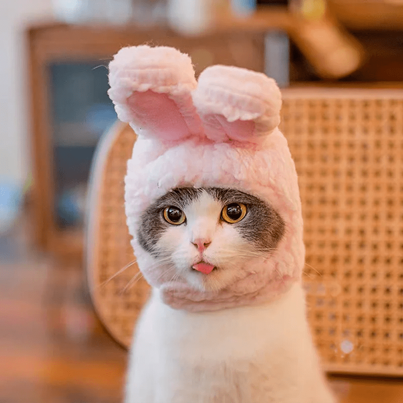 Winter Pet Hat - Adorable Bear and Rabbit Cosplay Hood for Dogs and Cats 2