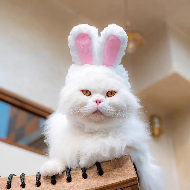 Winter Pet Hat - Adorable Bear and Rabbit Cosplay Hood for Dogs and Cats 3