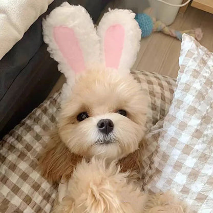 Winter Pet Hat - Adorable Bear and Rabbit Cosplay Hood for Dogs and Cats 5